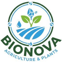 Bionova logo